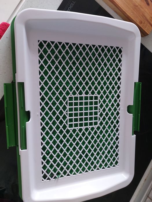 Tapete treinamento Wc cao