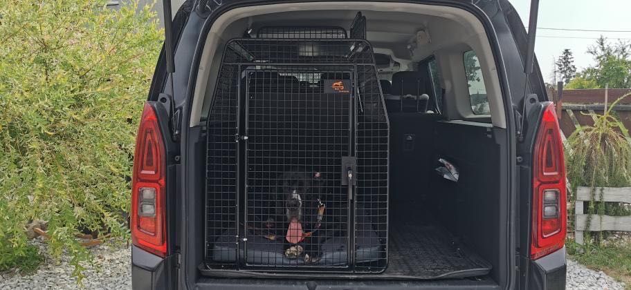 Klatka transporter dla dużego psa do Toyota Proace Barti