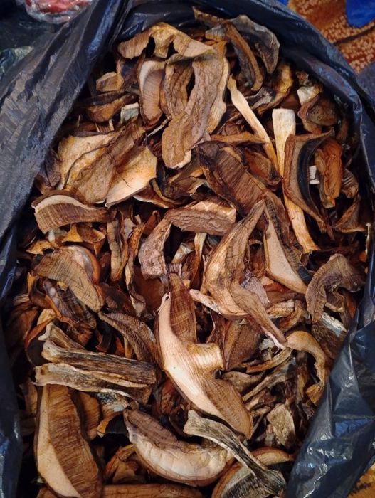 Продам хороший буковий гриб з Закарпаття.