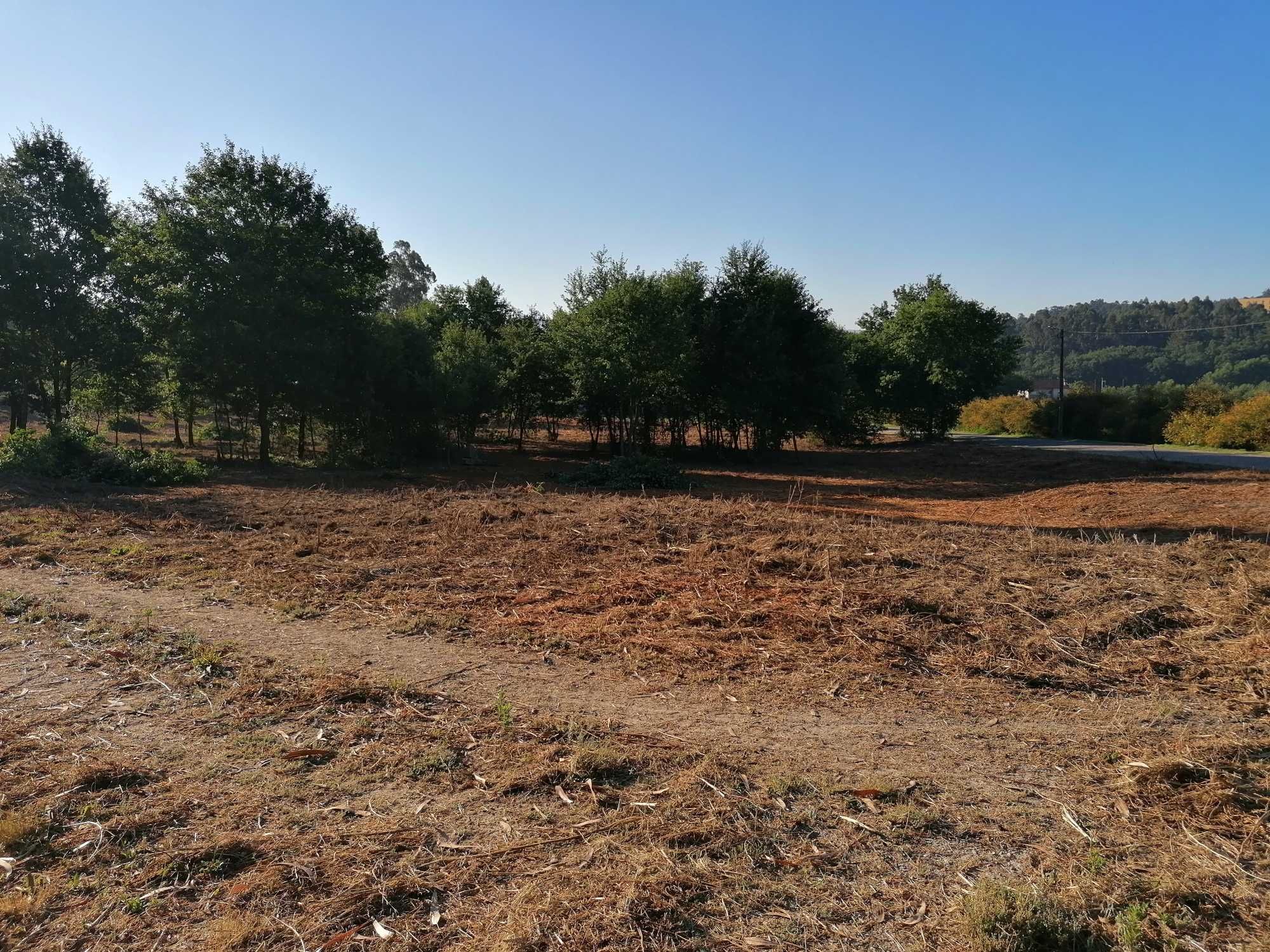 Quintinha com 35.000 m2