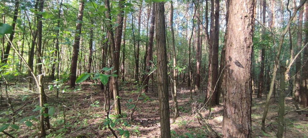 Działka budowlana w super lokalizacji !!!