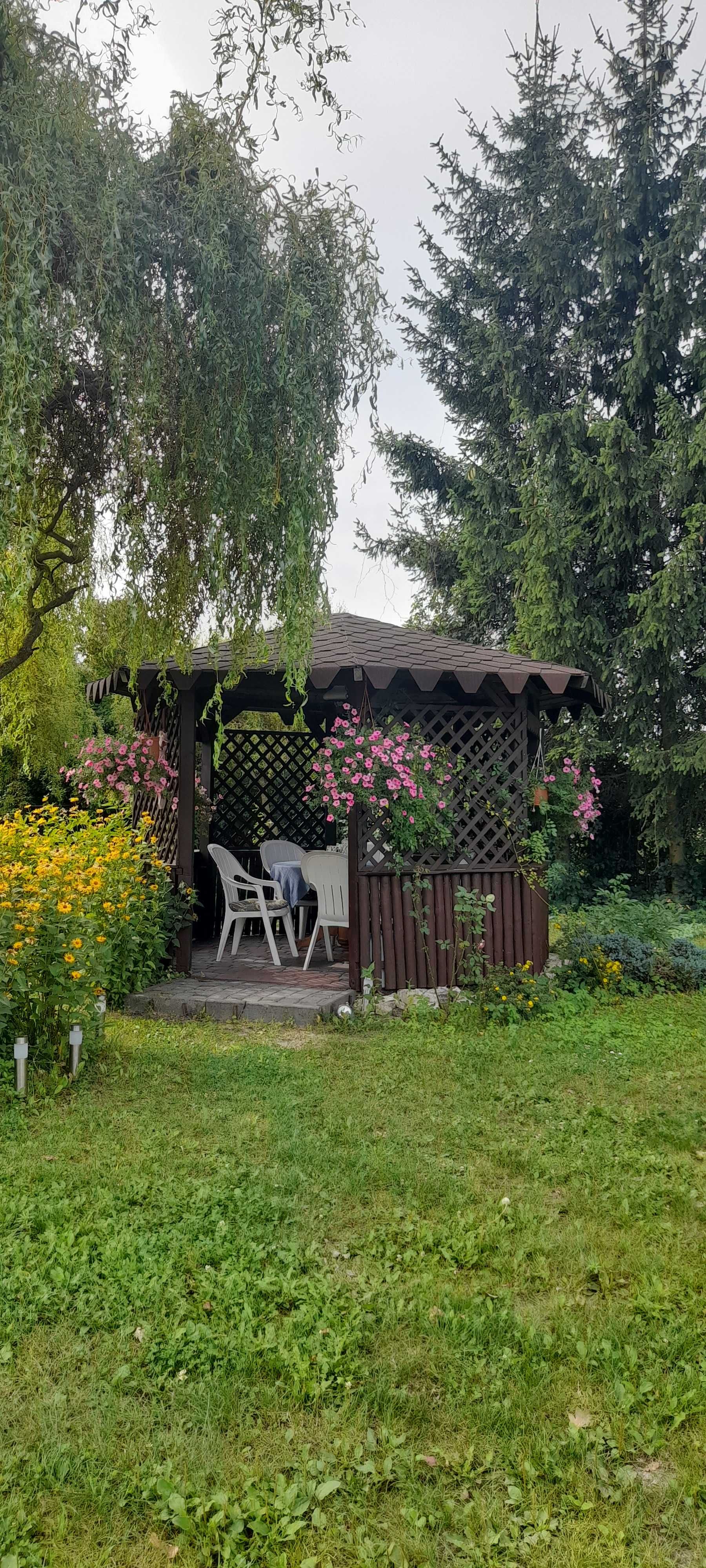 Pokoje do wynajęcia