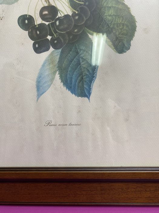 Moldura madrira maciça