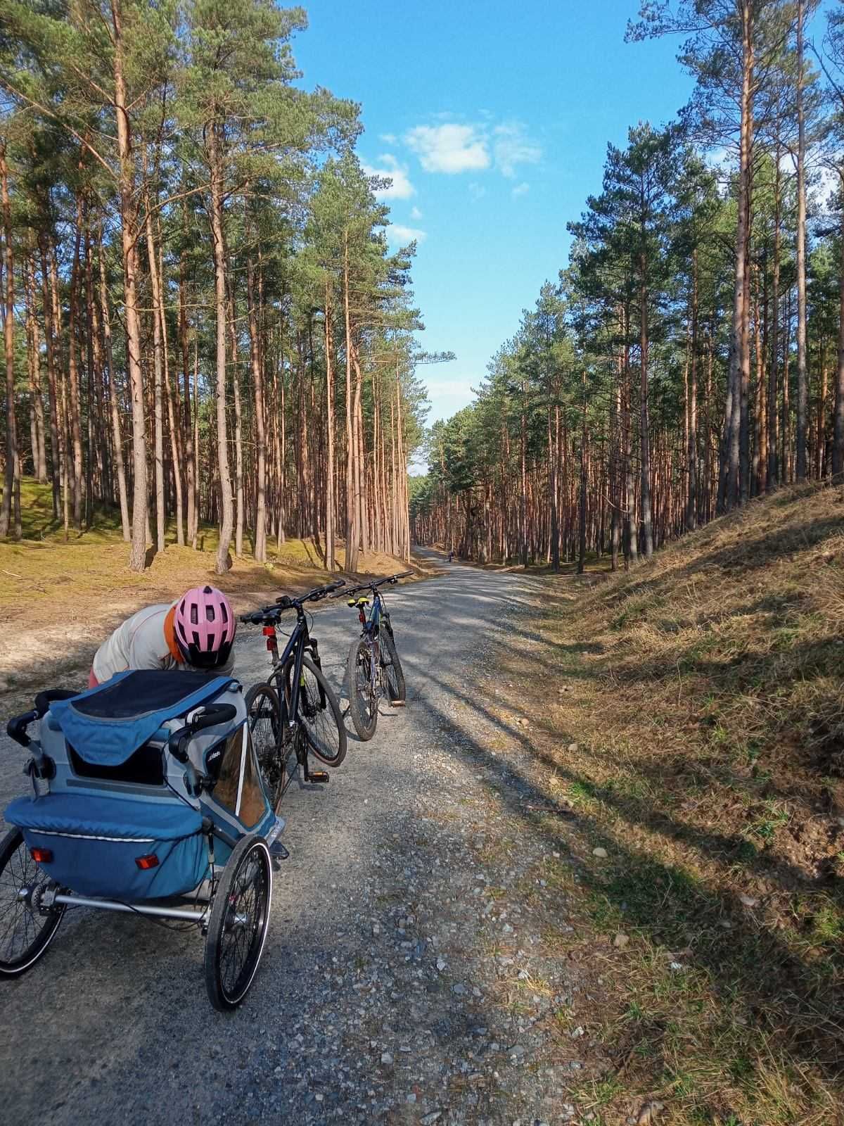 Przyczepka rowerowa qeridoo