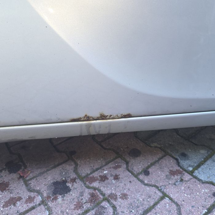 Opel Insignia A, 2009, 220KM benzyna