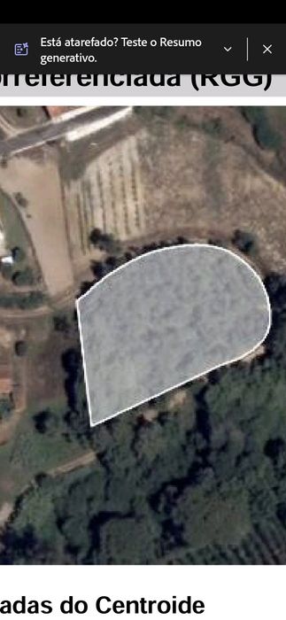 Vendo terreno rustico