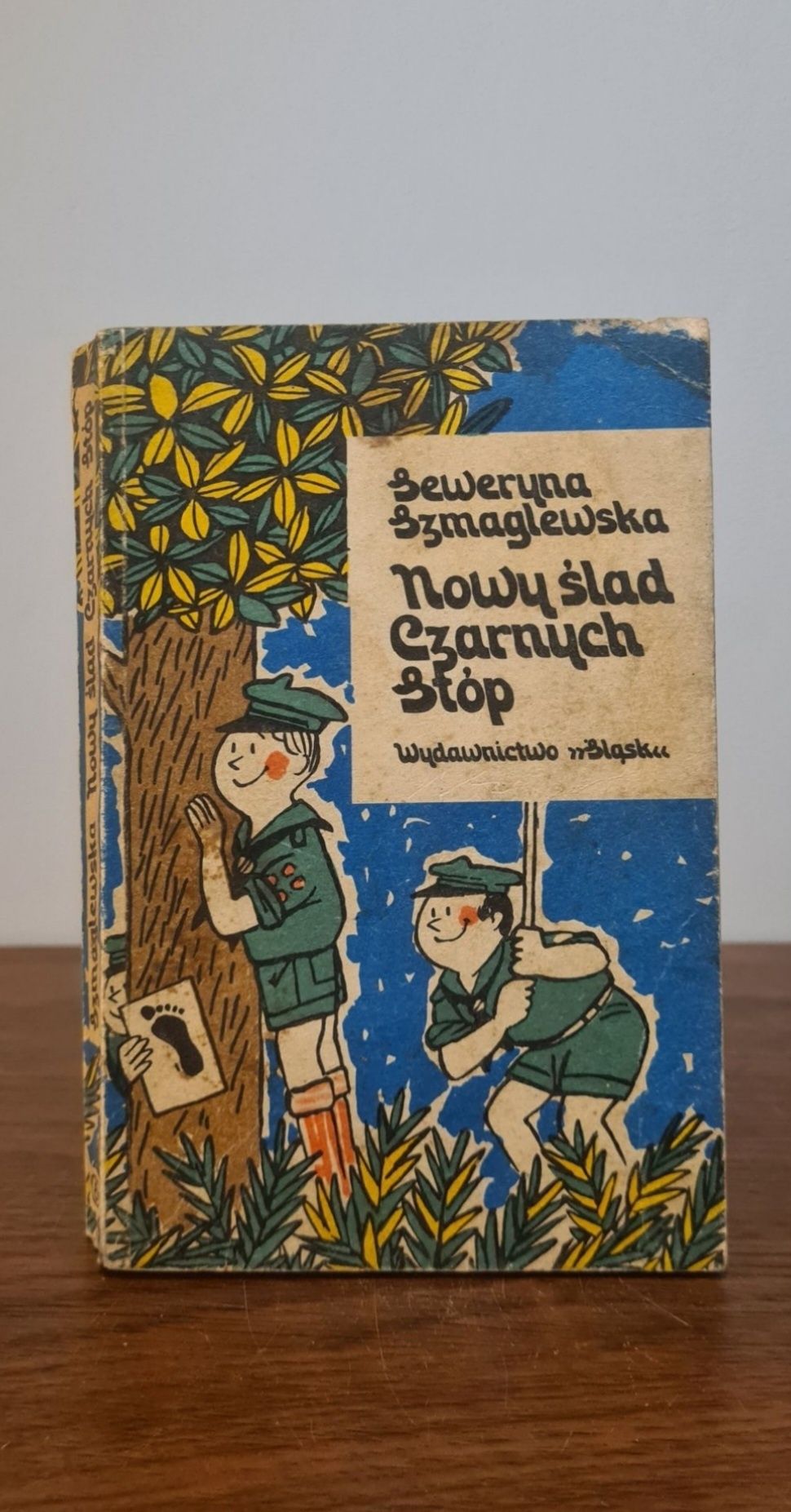 Nowy ślad czarnych stóp - Seweryna Szmaglewska