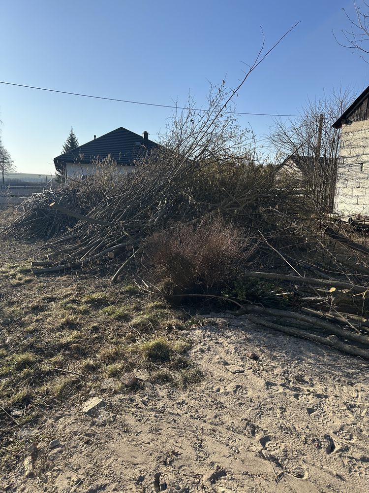 Oddam Gałęzie za Darmo