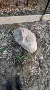 Kamień polny oddam