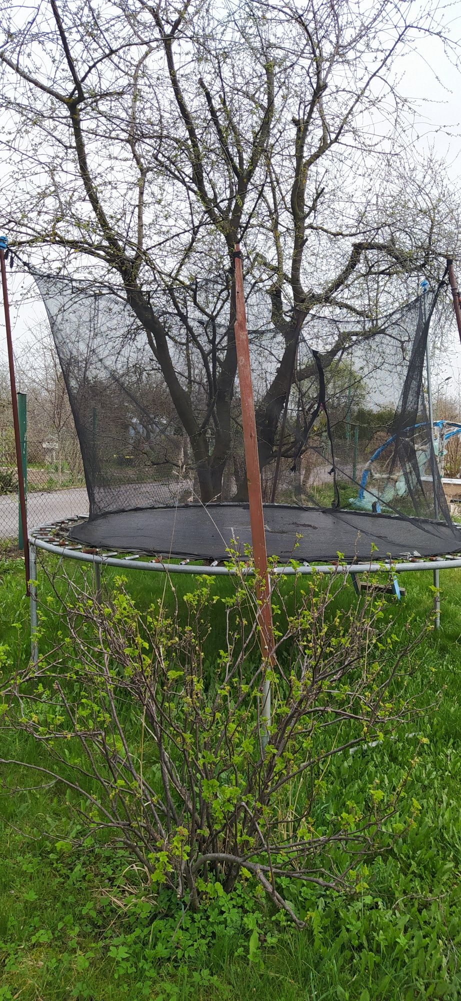 Trampolina dużą sprawna