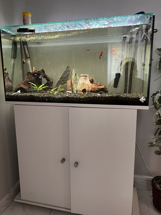 Aquario 80cm + armario   (acessorios oferta )