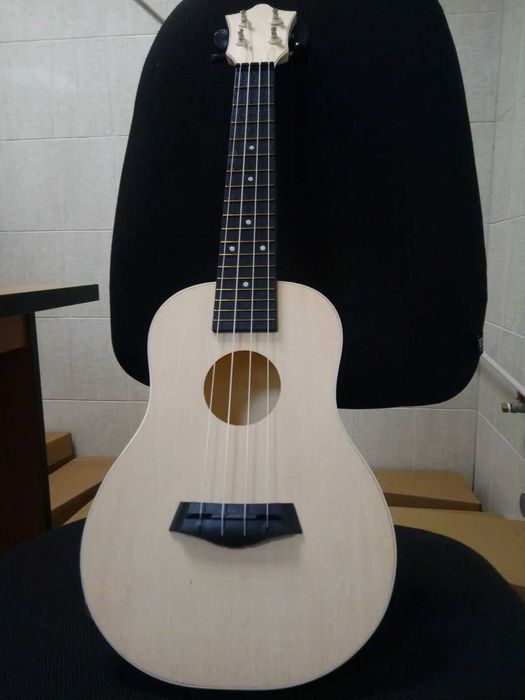 Укулеле  Концерт Нова