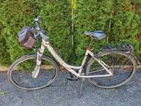 Pegasus Solero SL 28"