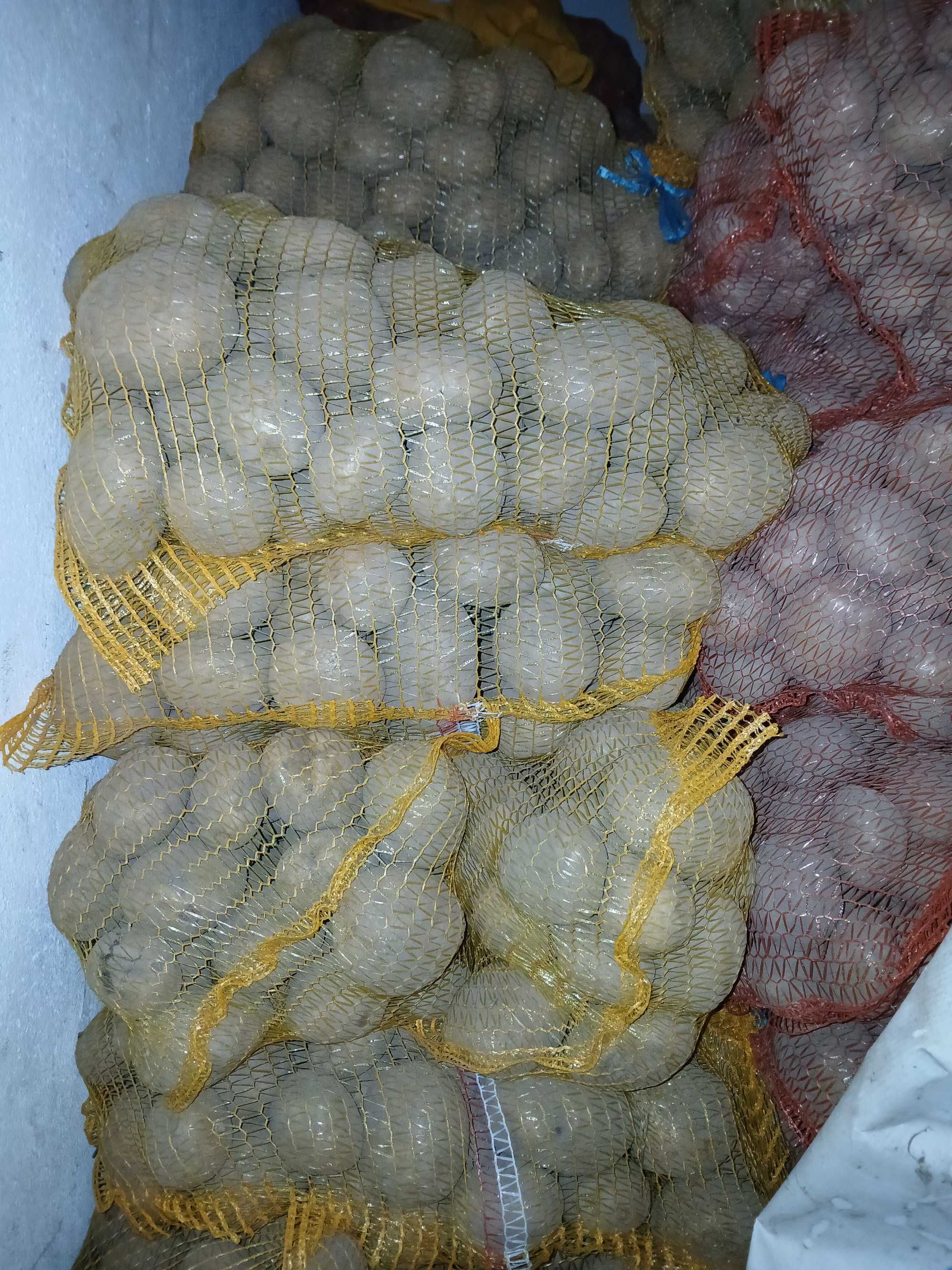 Ziemniaki Vineta