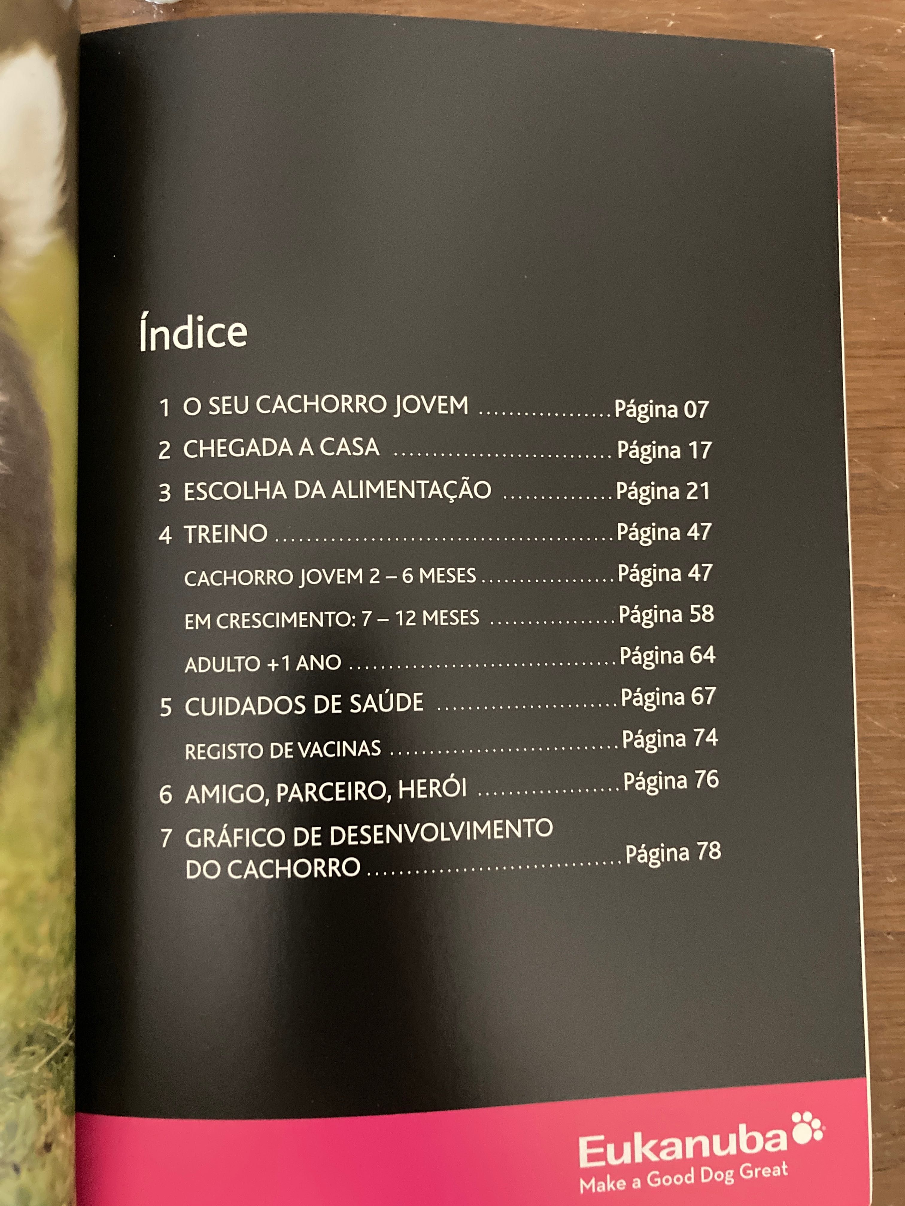 Livro educação cães cachorro