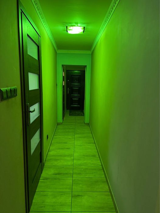 Wynajem mieszkania Jawor