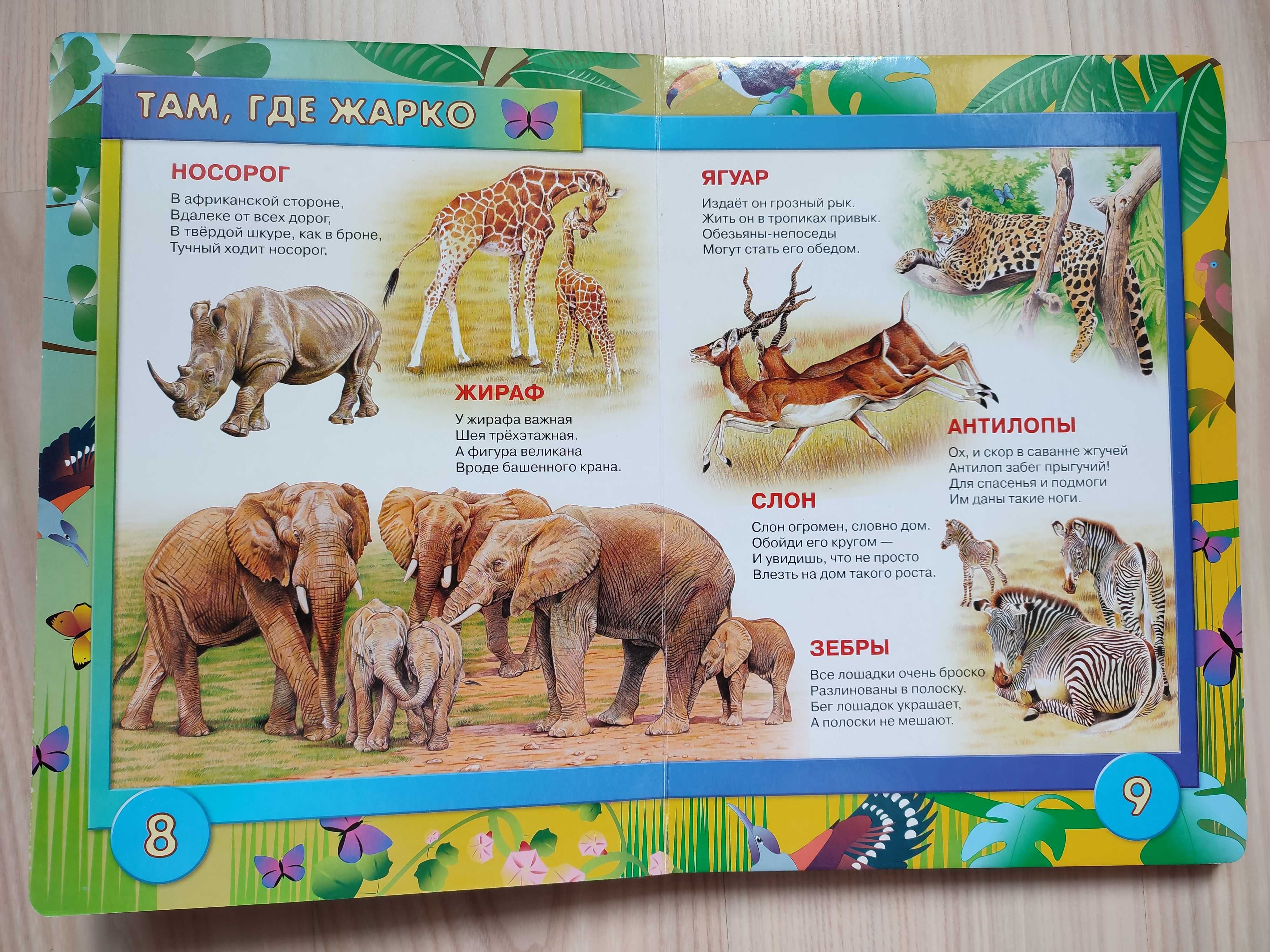 Большая детская книга "Мир животных"