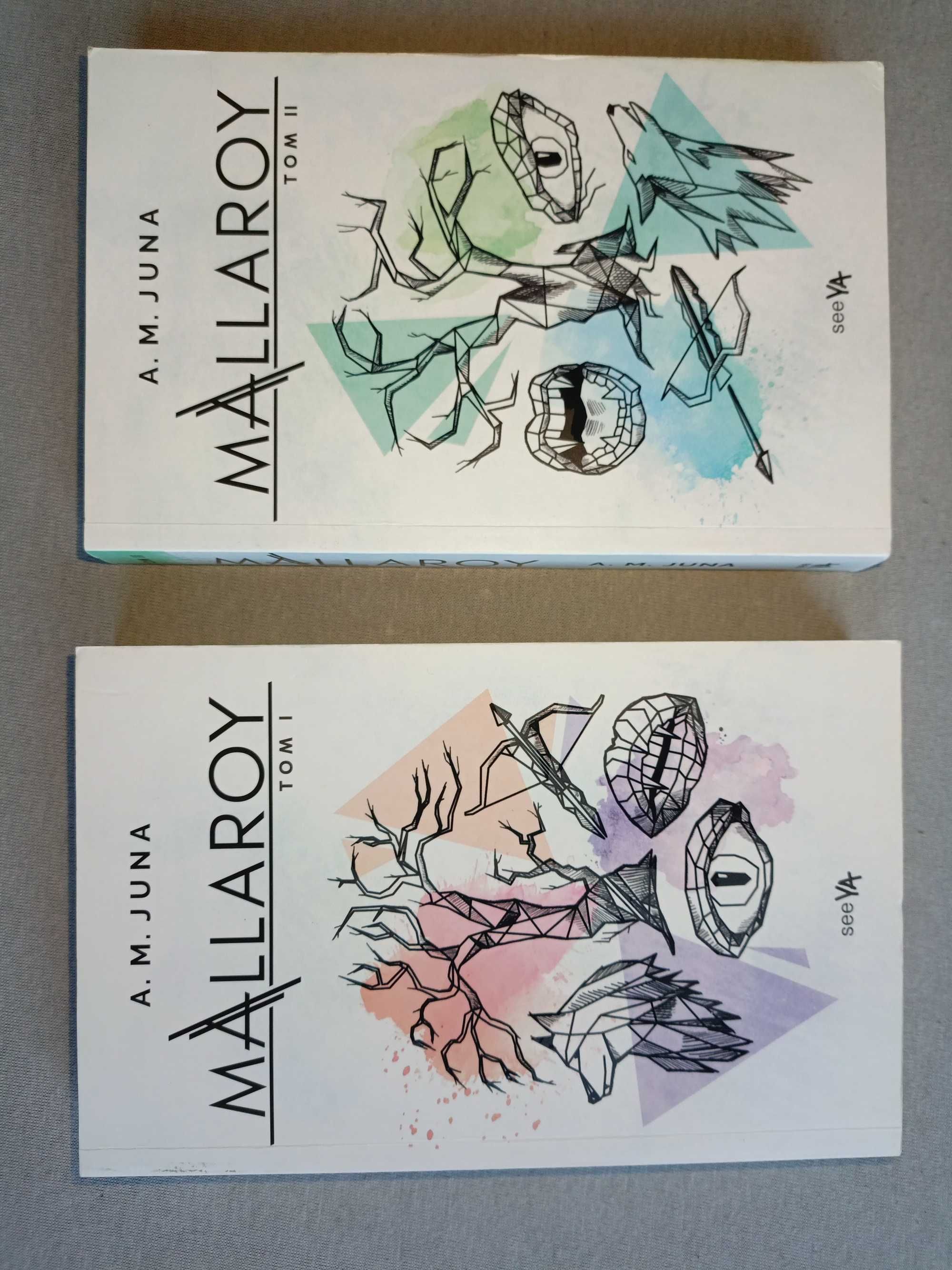 książki młodziezowe