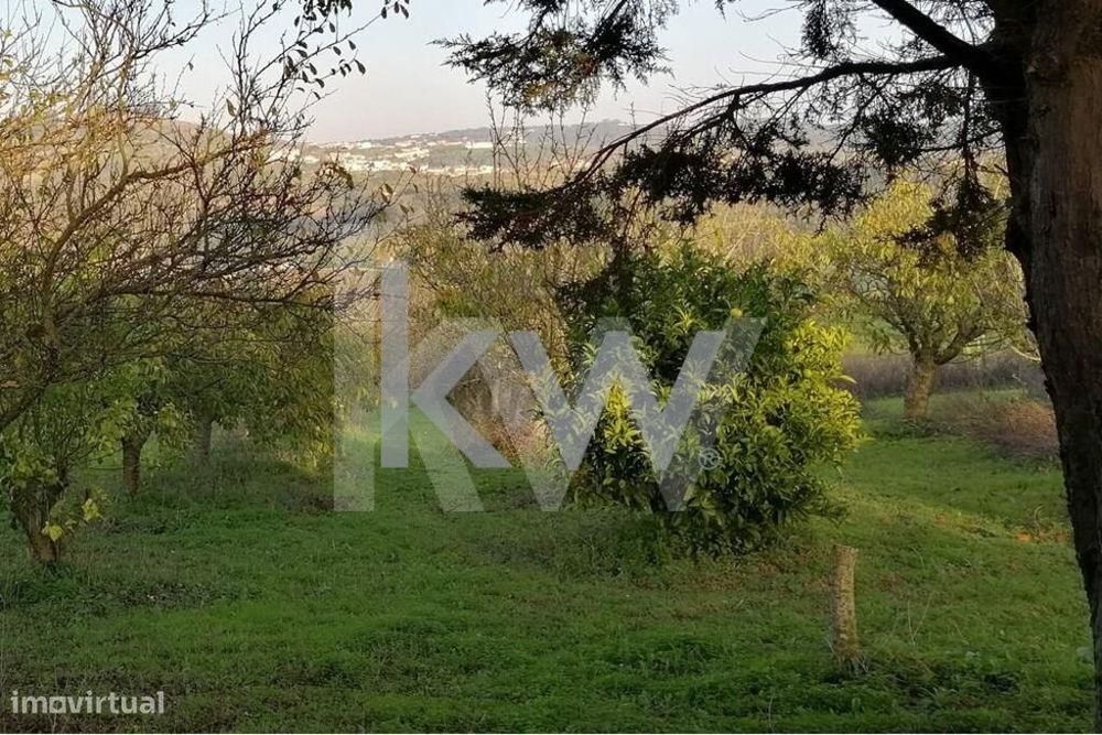 Terreno 3.320m2 em Alenquer, Lisboa - mais estrutura de apoio