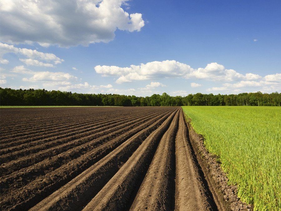 Оренда земельних паїв!