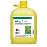 Wing P 10 litrów