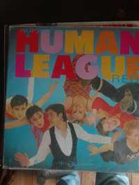 Disco human league