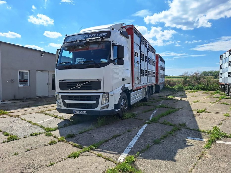 Volvo FH16  Volvo FH16 rok 2011 z zabudową i przyczepa Pezzaioli  3 pokłady