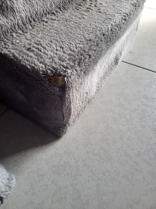 Escada para cachorro