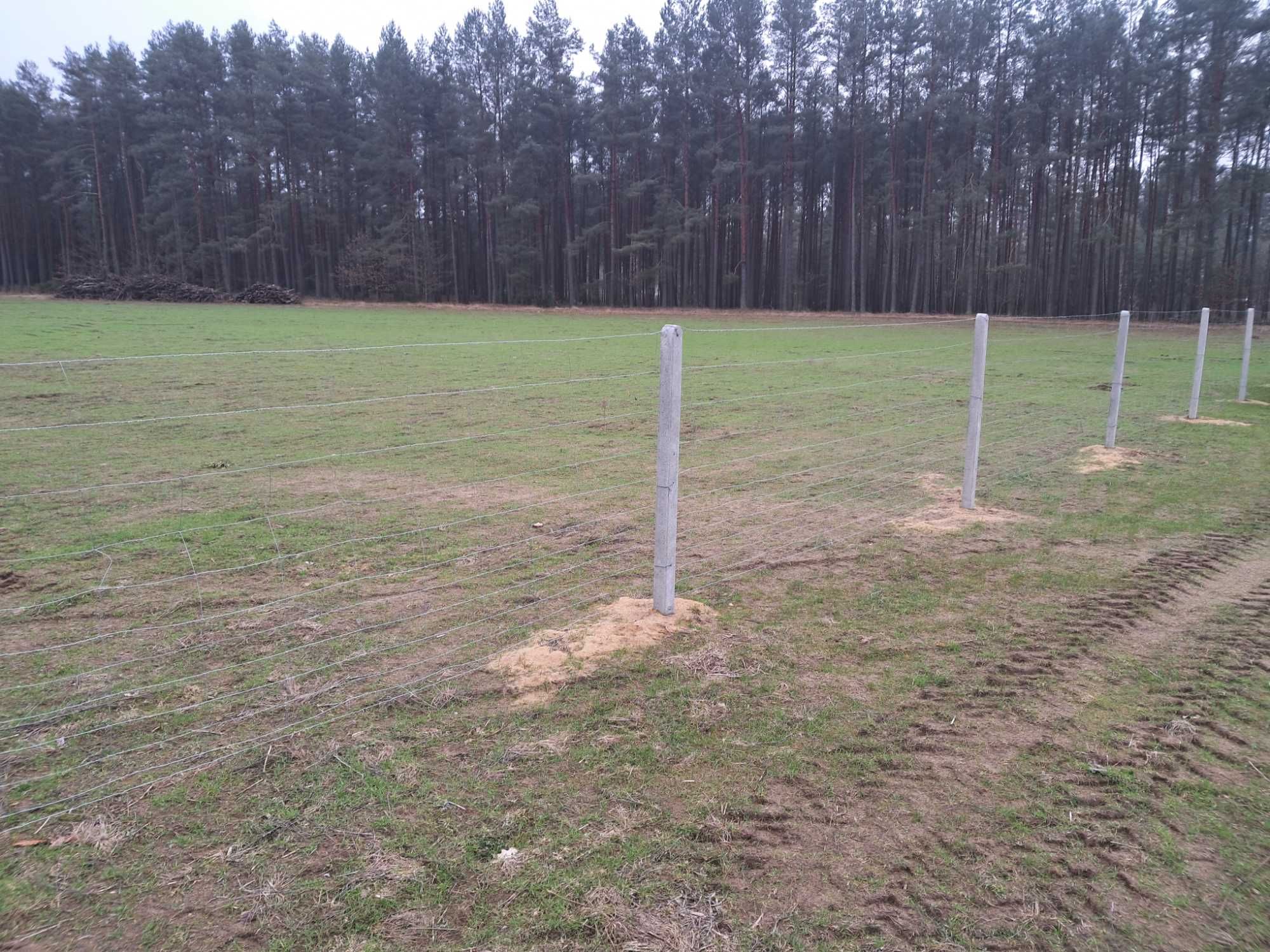 Ogrodzenie z siatki leśnej tymczasowe stałe budowlane działki budowy