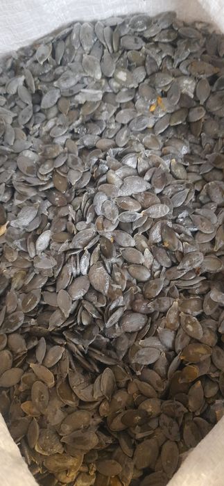 Продам голе гарбузове насіння 2025