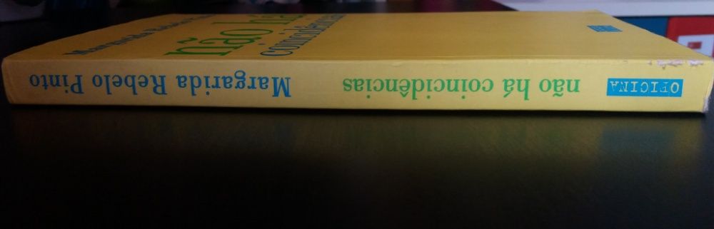 Não Há Coincidências de Margarida Rebelo Pinto