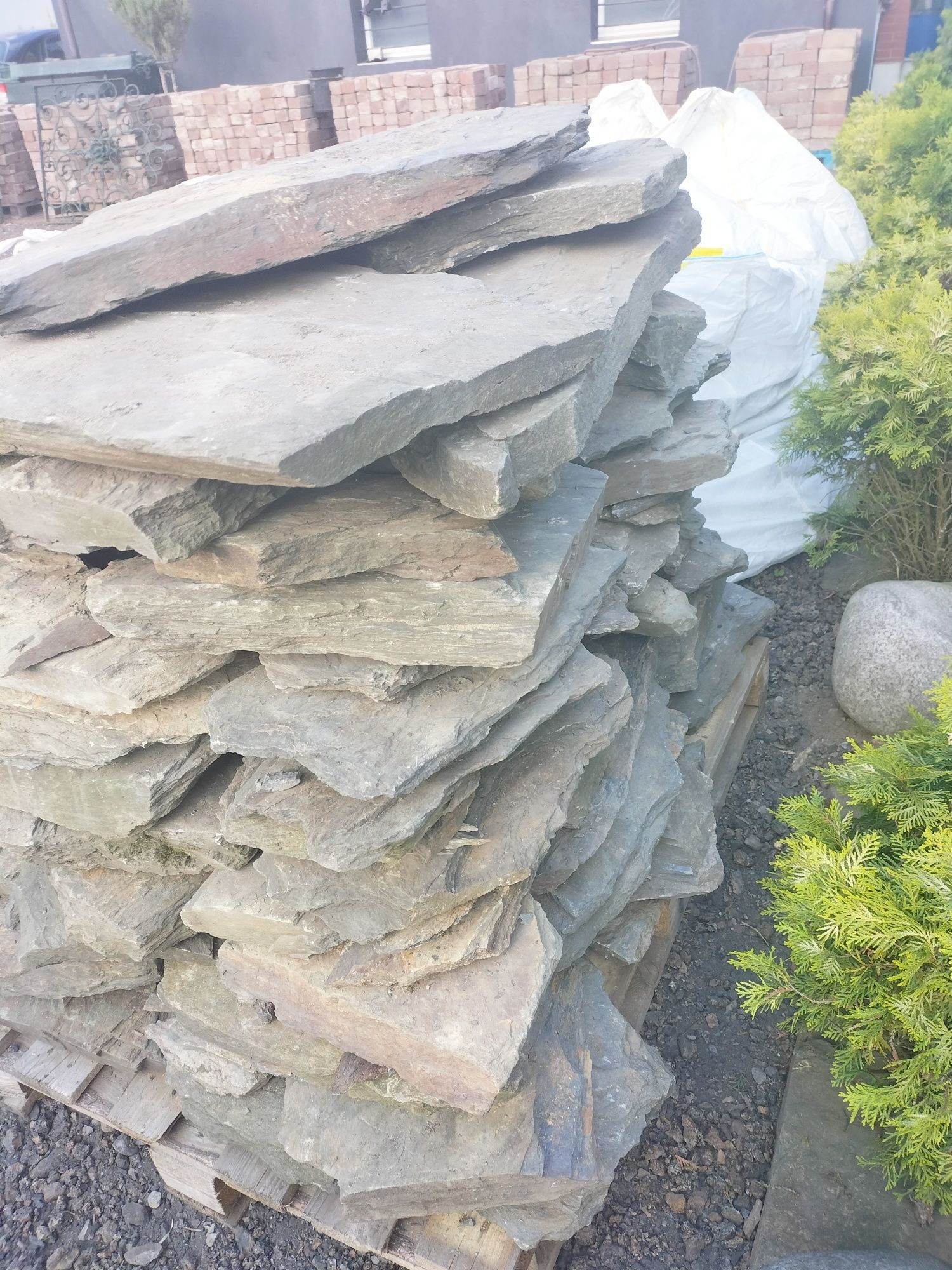 Kamień łupek, 1200 kg. 250 milionów lat