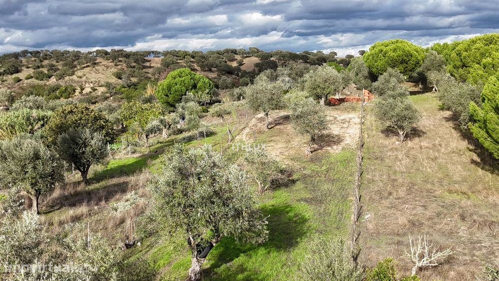 Terreno Rústico  7240 m2 , com água da rede , Ciborro