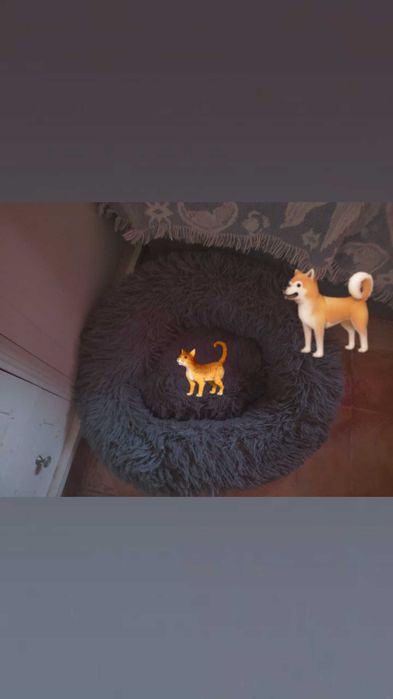 Cama felpuda para animais