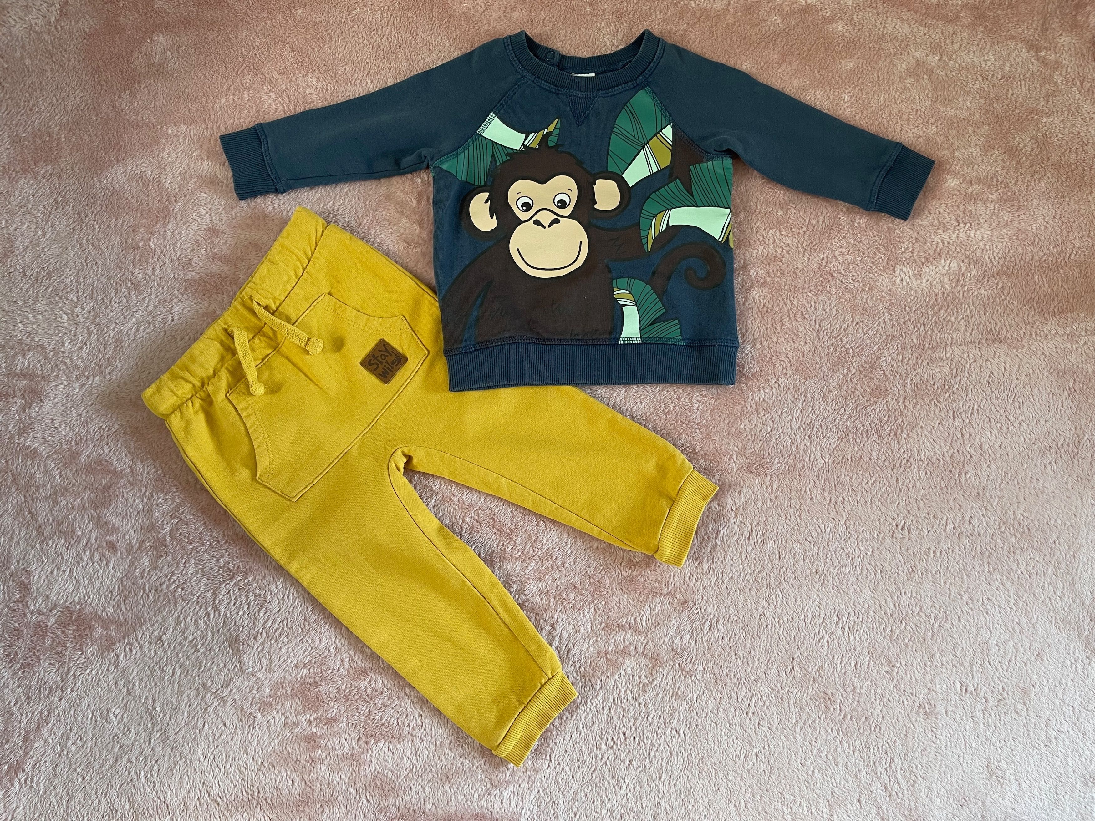 Bluza chłopięca H&M rozmiar 74 motyw małpa