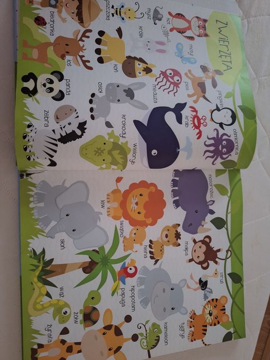 Wielka księga malucha słowniczek literki cyferki