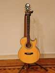 Guitarra Epiphone PR-5E N.