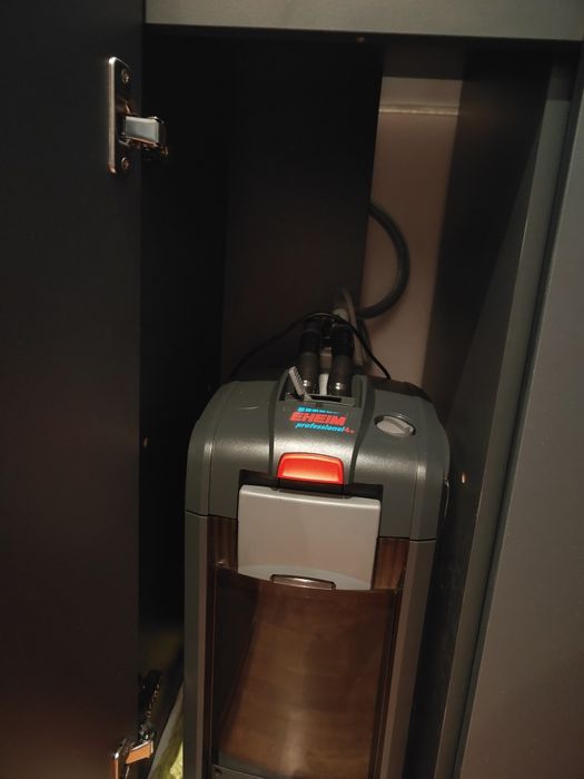 Filtro Eheim Professional 4+ 350 T