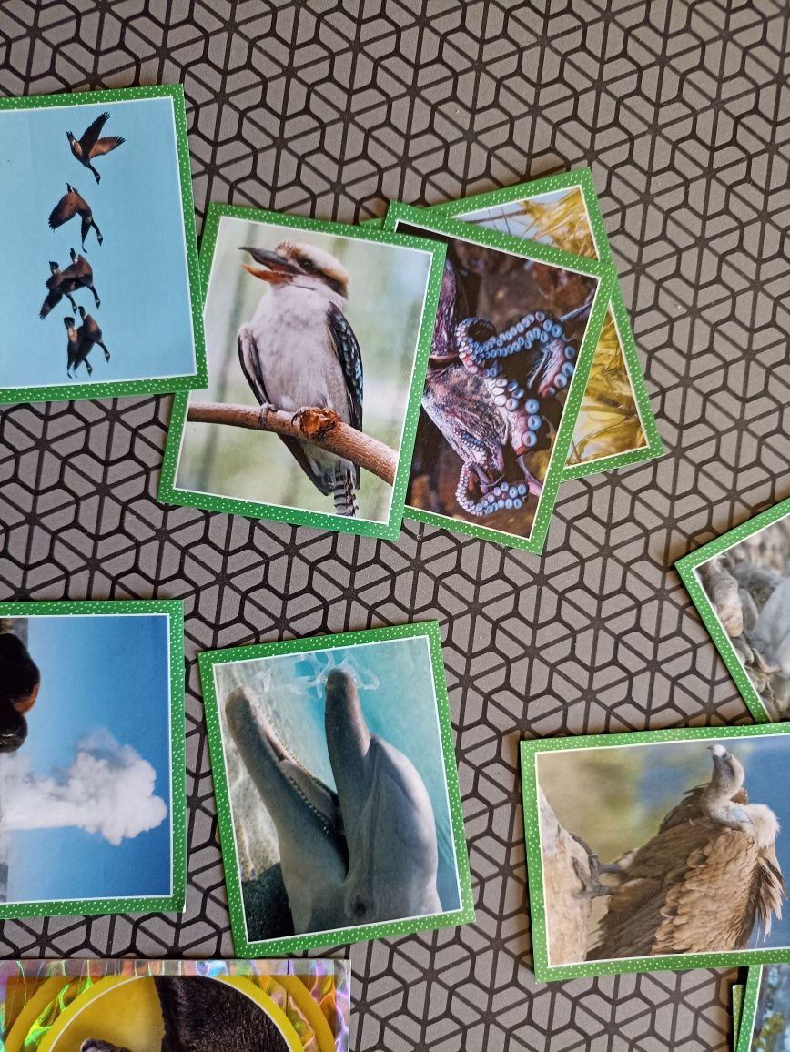 Cromos National Geographic Kids da Topps
