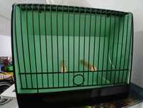 Gaiola lacada para gloster