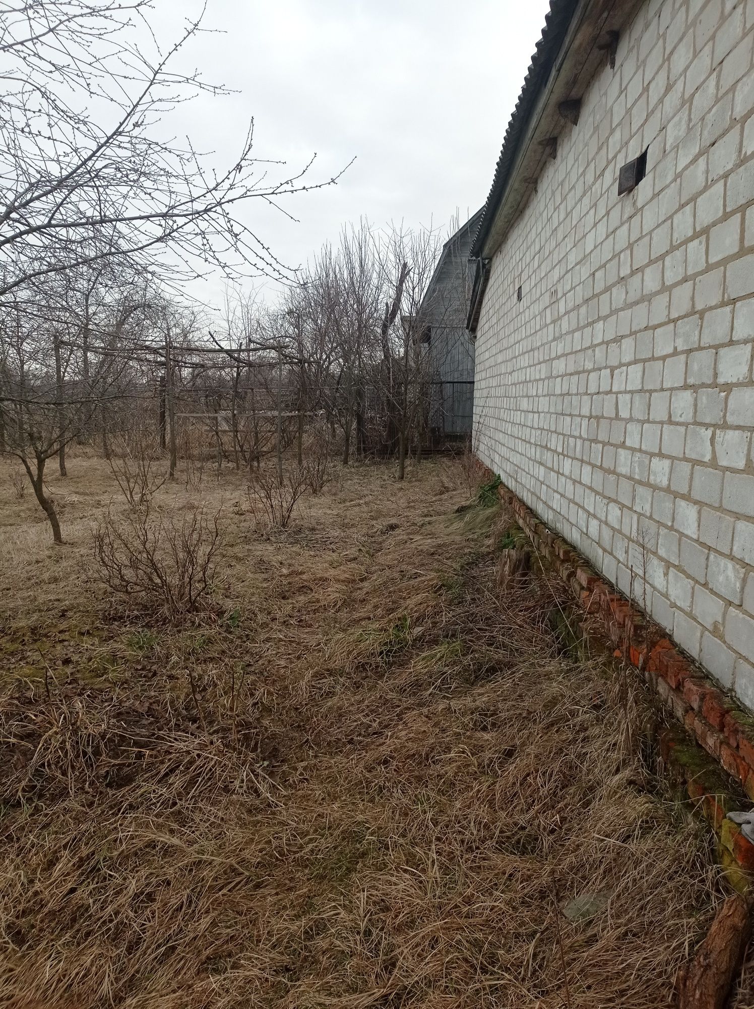 Будинок біля ОЗЕРА та ЛІСУ. Село Ведильці.