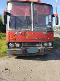 Автобус Терміново Ікарус 256 Ikarus