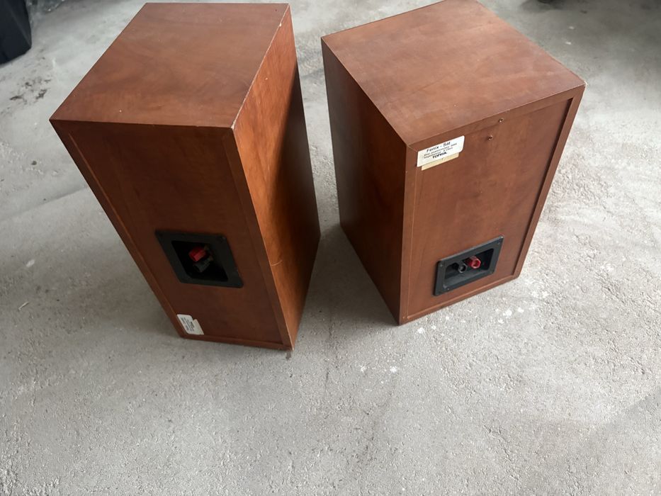 Glosniki tonsil fenix