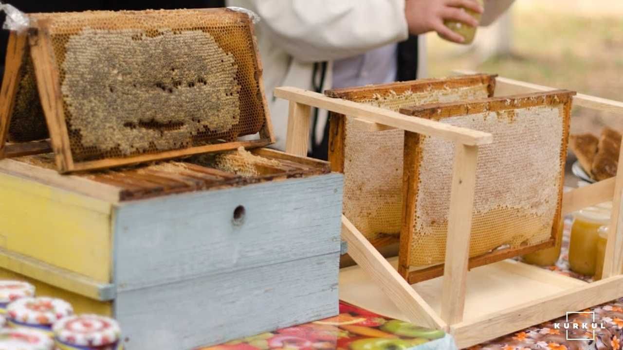 Бджоли / пасіка / вулики / бджолосім'ї / мед