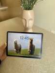 iPad Air 11” M2 128 GB Wi-Fi + 5G | Fioletowy | Gwarancja