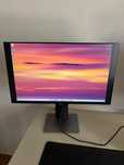 Monitor Dell P2419HC IPS 23.8" FHD 16:9