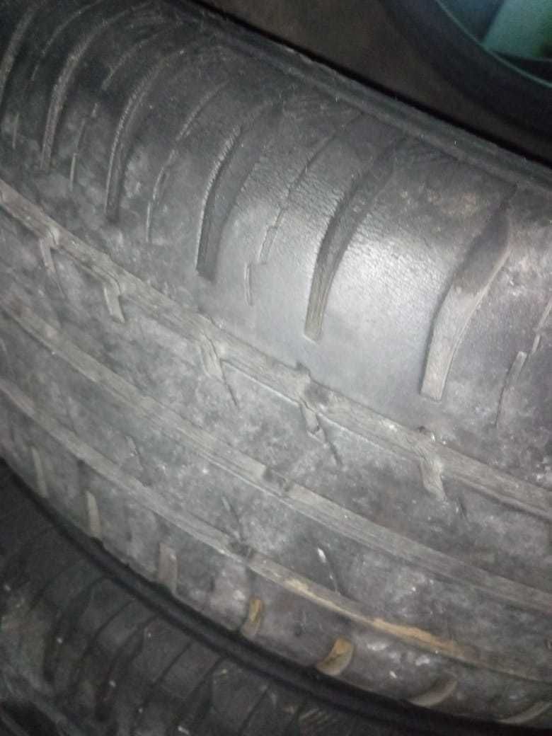 Pineus 175-65-R14