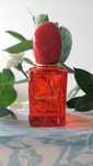 Gorgio Armani Si 30 ml