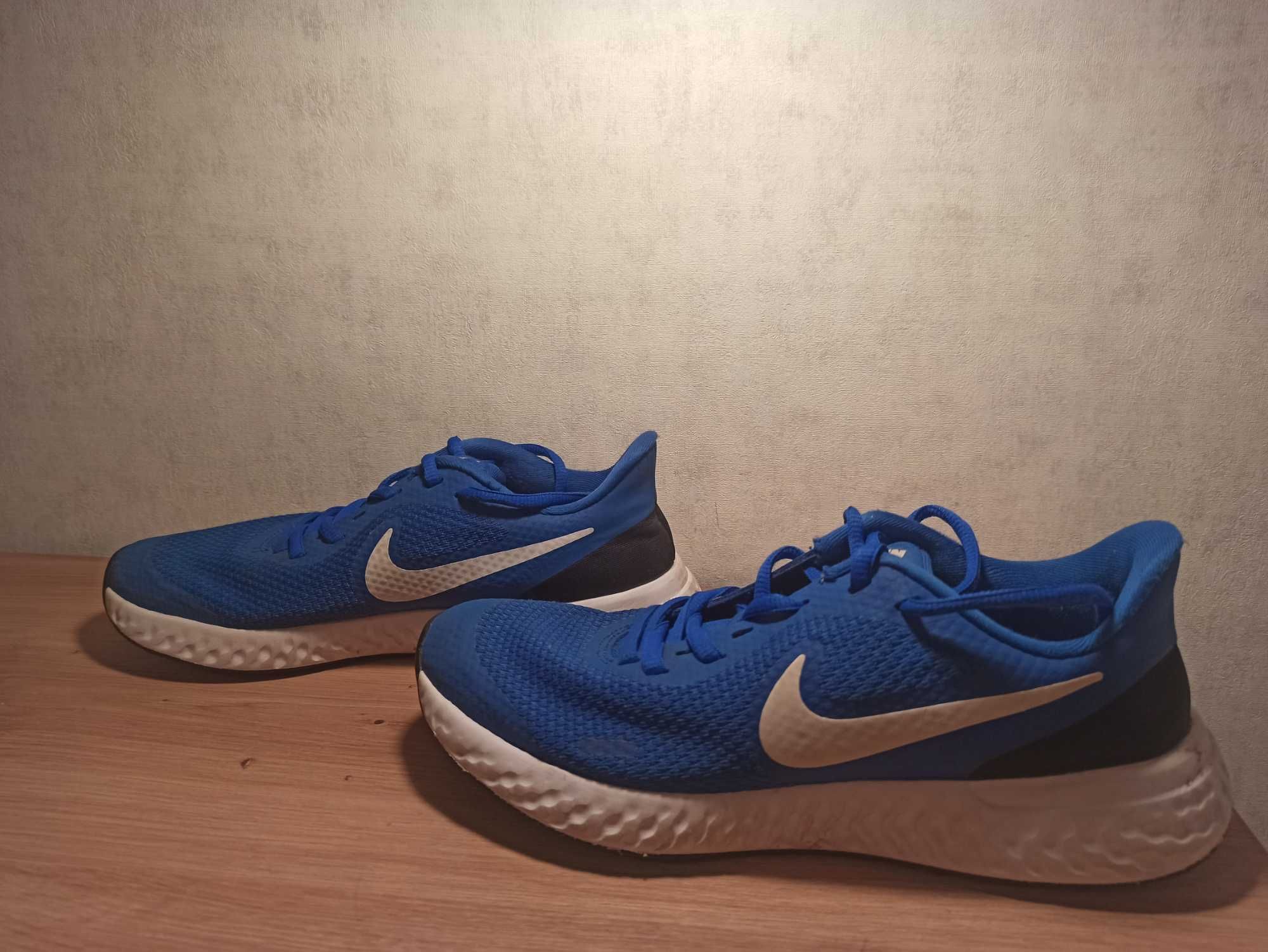 Кросівки Nike Revolution