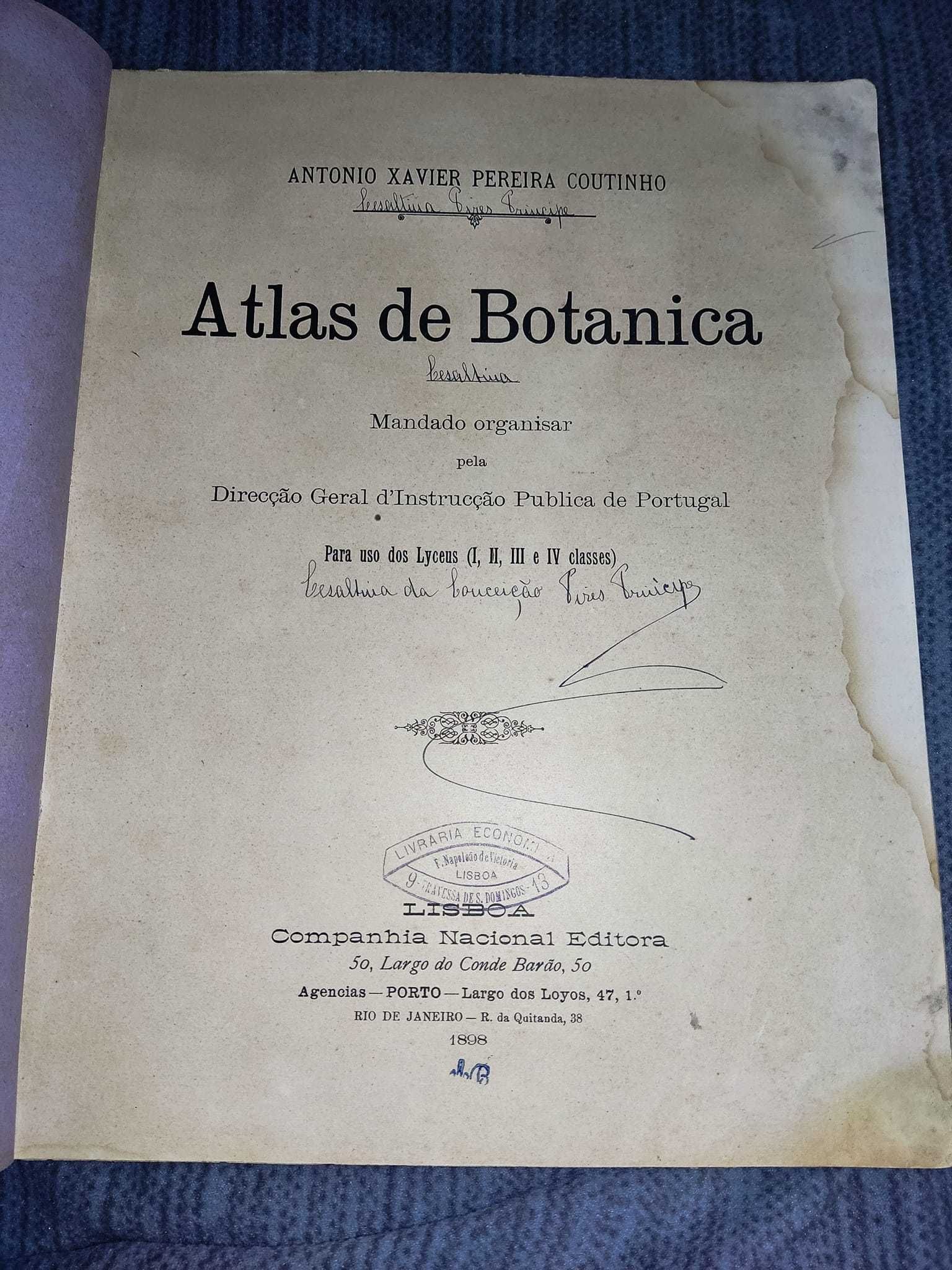 ATLAS DE BOTANICA DE 1898